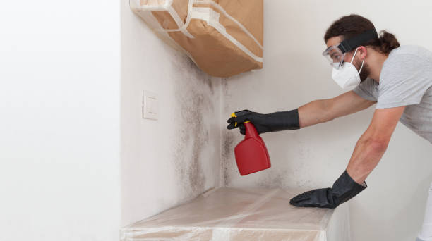 Professional Mold Removal technician working in Wilmington, IL